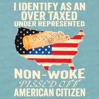 I Identify As An Over Taxed Under Represented Nonwoke Pissed Off Amer Sueded Cloud Jersey T-Shirt