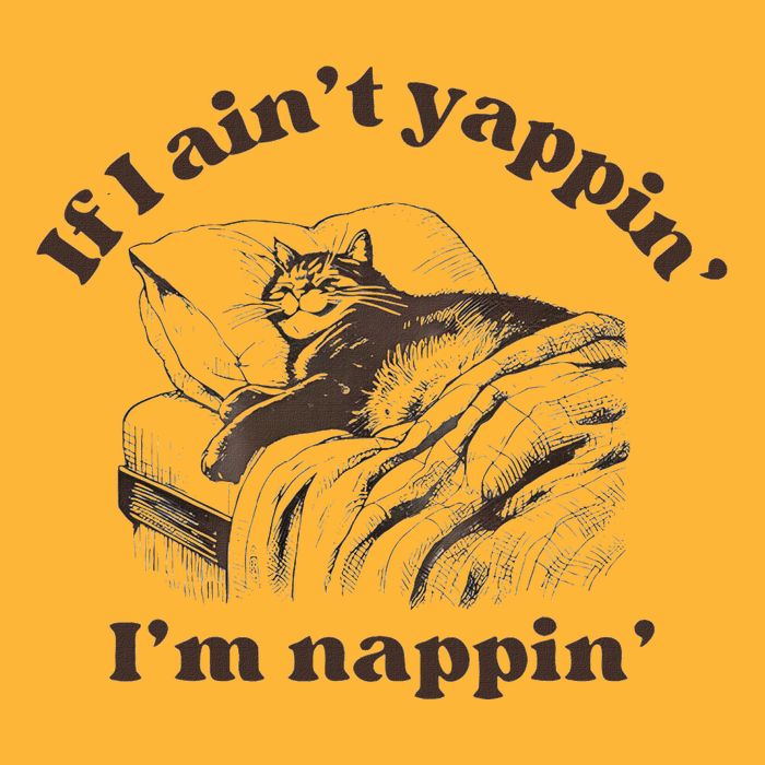 If I Aint Nappin Im Yappin Yapper Pom Pom 12in Knit Beanie