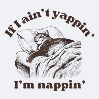 If I Aint Nappin Im Yappin Yapper Sueded Cloud Jersey T-Shirt