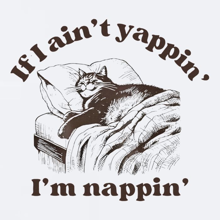 If I Aint Nappin Im Yappin Yapper Sueded Cloud Jersey T-Shirt