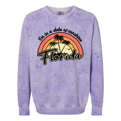 I'm In A State Of Sunshine Florida Beach Sun Colorblast Crewneck Sweatshirt