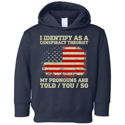 I Identify As A Conspiracy Theorist Vintage American Flag Toddler Hoodie