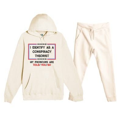 I Identify As A Conspiracy Theorist Pronouns Are Told You So Premium Hooded Sweatsuit Set