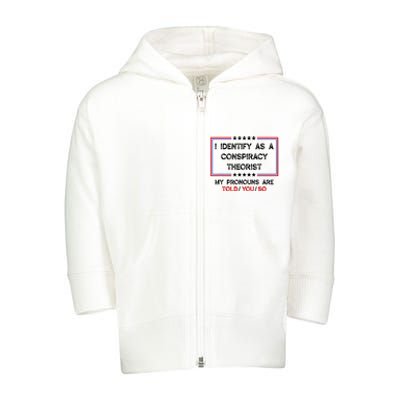 I Identify As A Conspiracy Theorist Pronouns Are Told You So Toddler Zip Fleece Hoodie