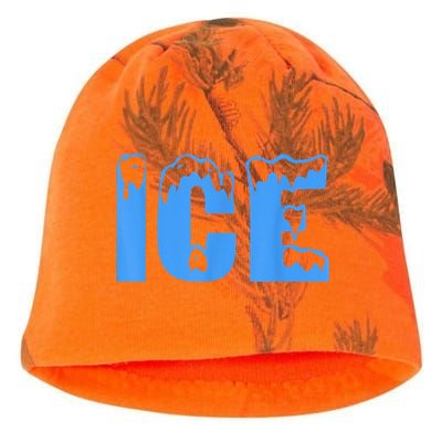 Ice Ice And Baby Family Funny Halloween Costume Couples Kati - Camo Knit Beanie