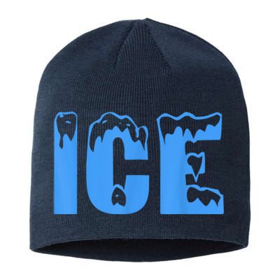 Ice Ice And Baby Family Funny Halloween Costume Couples Sustainable Beanie