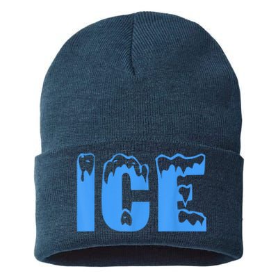 Ice Ice And Baby Family Funny Halloween Costume Couples Sustainable Knit Beanie