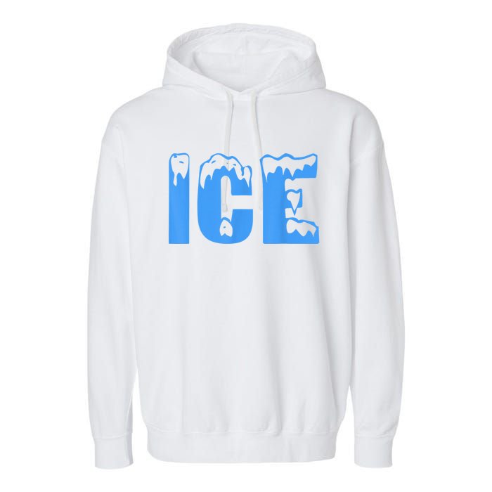 Ice Ice And Baby Family Funny Halloween Costume Couples Garment-Dyed Fleece Hoodie