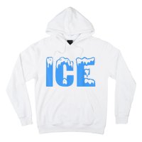 Ice Ice And Baby Family Funny Halloween Costume Couples Hoodie