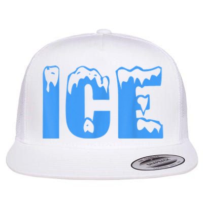 Ice Ice And Baby Family Funny Halloween Costume Couples Flat Bill Trucker Hat