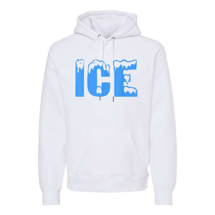 Ice Ice And Baby Family Funny Halloween Costume Couples Premium Hoodie