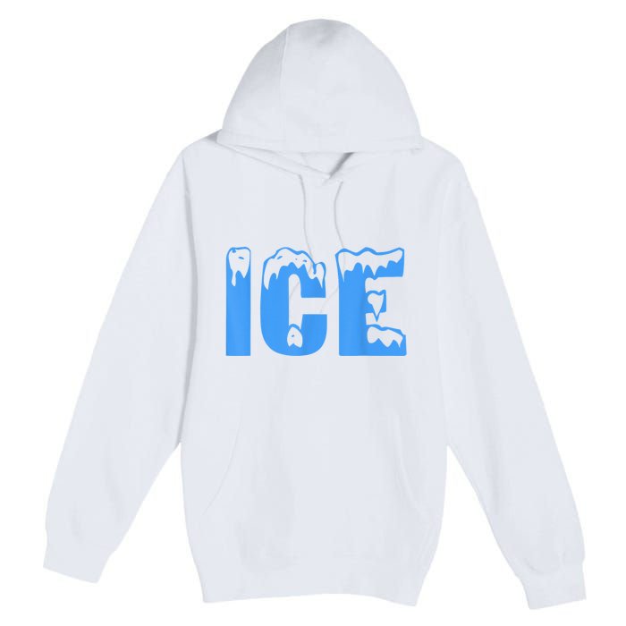 Ice Ice And Baby Family Funny Halloween Costume Couples Premium Pullover Hoodie