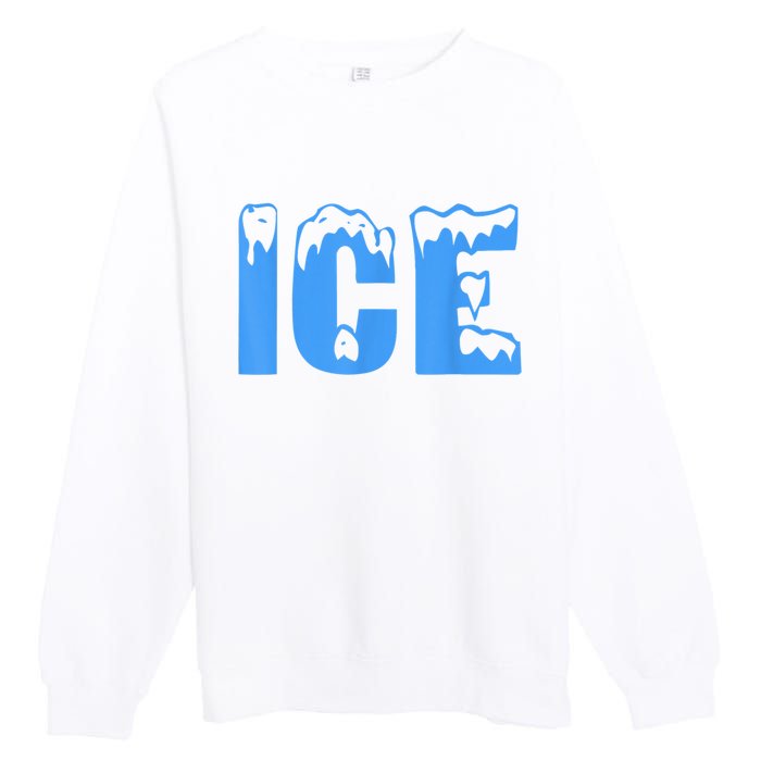 Ice Ice And Baby Family Funny Halloween Costume Couples Premium Crewneck Sweatshirt