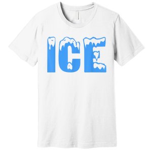 Ice Ice And Baby Family Funny Halloween Costume Couples Premium T-Shirt