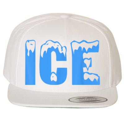 Ice Ice And Baby Family Funny Halloween Costume Couples Wool Snapback Cap