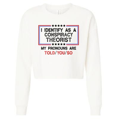 I Identify As A Conspiracy Theorist Pronouns Are Told You So Cropped Pullover Crew