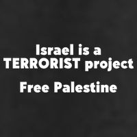 Israel Is A Terrorist Project Free Palestine Adult Drive Performance Visor
