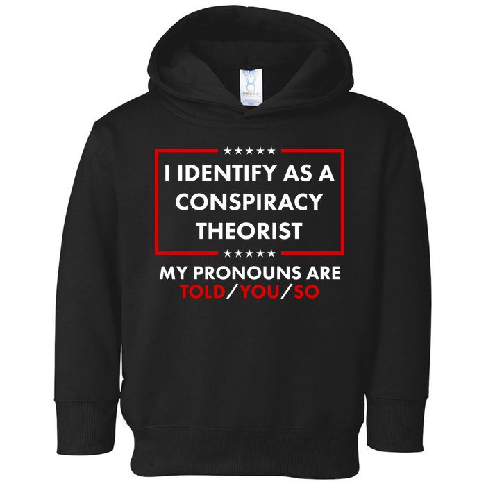 I Identify As A Conspiracy Theorist My Pronouns Are Told You So Toddler Hoodie