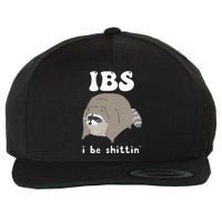 Ibs I Be Shittin Raccoon Funny Wool Snapback Cap