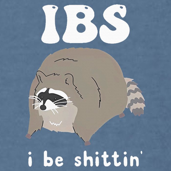 Ibs I Be Shittin Raccoon Funny Garment-Dyed Sweatshirt