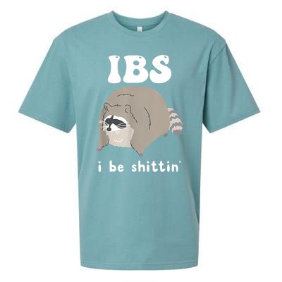 Ibs I Be Shittin Raccoon Funny Sueded Cloud Jersey T-Shirt