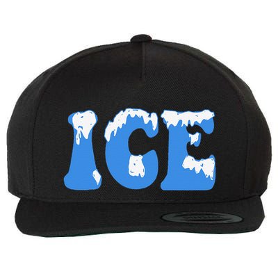 Ice Ice Baby Family Funny Halloween Costume Couples 2024 Gift Wool Snapback Cap