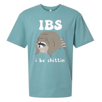 Ibs I Be Shittin Raccoon Sueded Cloud Jersey T-Shirt