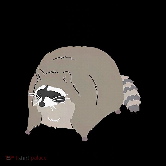 IBS I Be Shittin' Raccoon Funny Mug