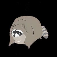 IBS I Be Shittin' Raccoon Funny 16oz Travel Tumbler