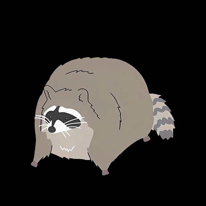 IBS I Be Shittin' Raccoon Funny 16oz Travel Tumbler