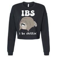 IBS I Be Shittin' Raccoon Funny Cropped Pullover Crew