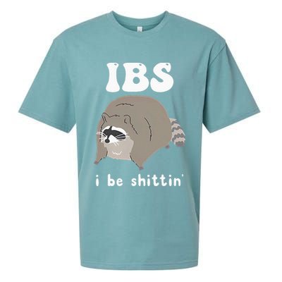 IBS I Be Shittin' Raccoon Funny Sueded Cloud Jersey T-Shirt