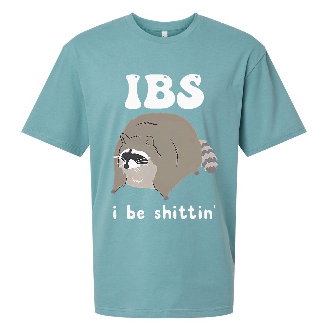 IBS I Be Shittin' Raccoon Funny Sueded Cloud Jersey T-Shirt