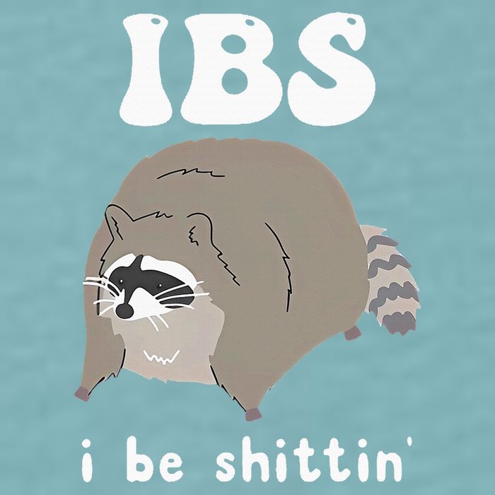 IBS I Be Shittin' Raccoon Funny Sueded Cloud Jersey T-Shirt