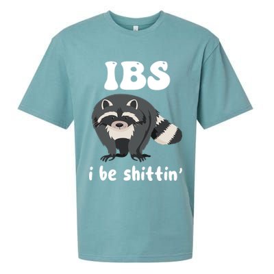 Ibs I Be Shittin Funny Joke Raccoon Sueded Cloud Jersey T-Shirt