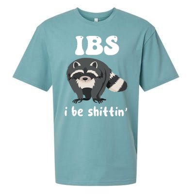 Ibs I Be Shittin Funny Joke Raccoon Sueded Cloud Jersey T-Shirt