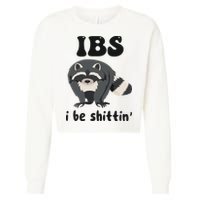 Ibs I Be Shittin Funny Joke Raccoon Cropped Pullover Crew