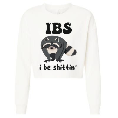 Ibs I Be Shittin Funny Joke Raccoon Cropped Pullover Crew