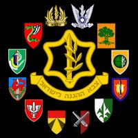 Idf Israel Defence Forces Israeli Army Israel Military Units 16 in Basic Backpack