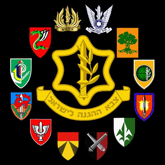 Idf Israel Defence Forces Israeli Army Israel Military Units 16 in Basic Backpack