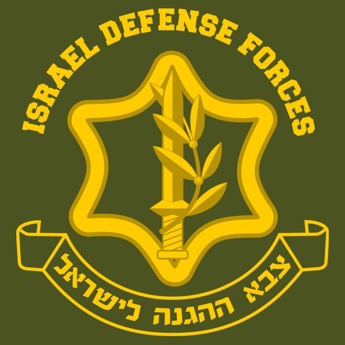 Idf Israel Defense Forces Free Israeli Army Israel Military T-Shirt