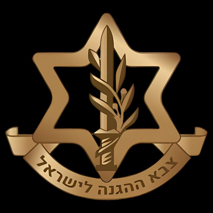 Idf Israel Defense Forces Impact Tech Backpack