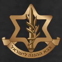 Idf Israel Defense Forces 11oz C Handle Ceramic Mug