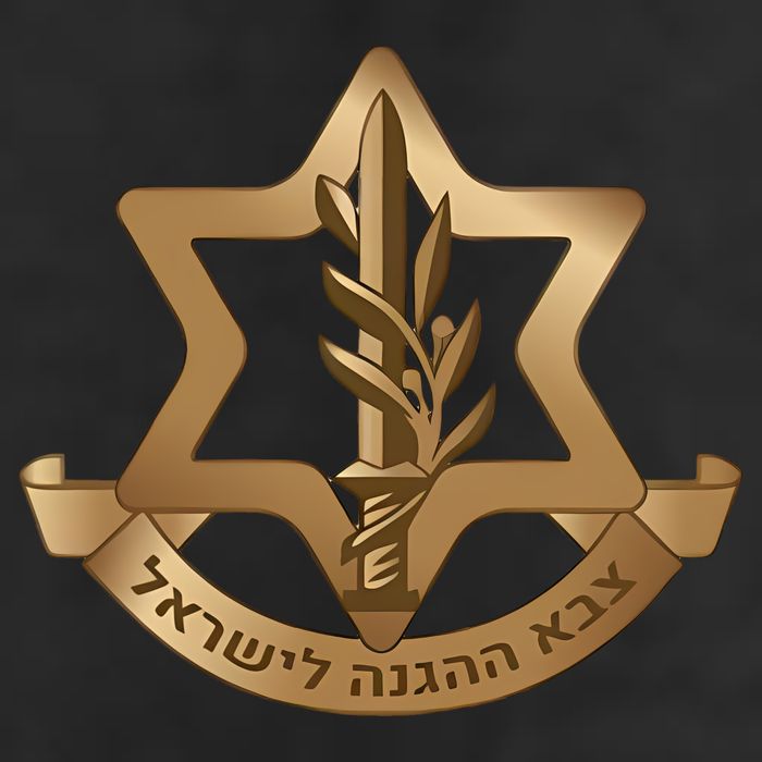 Idf Israel Defense Forces 11oz C Handle Ceramic Mug