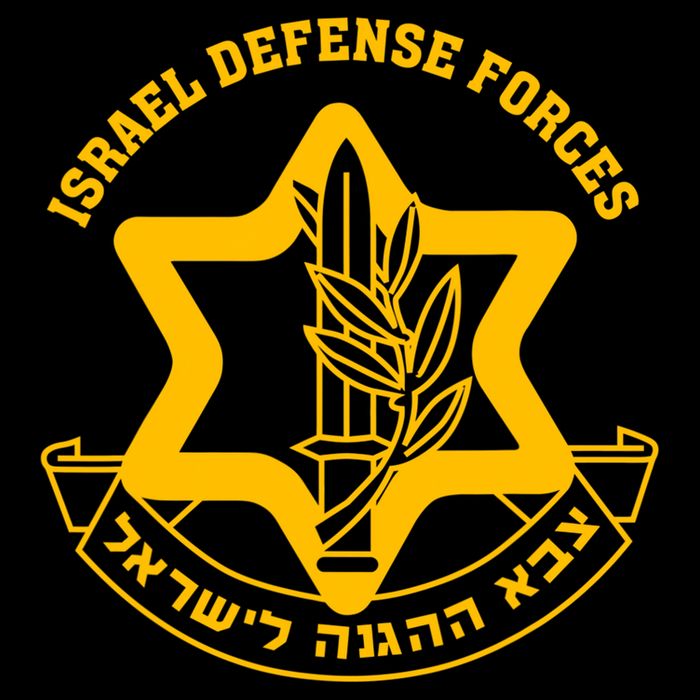 Idf Israel Defense Forces Free Israeli Army Israel Military Apron