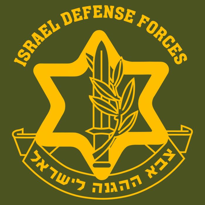 Idf Israel Defense Forces Free Israeli Army Israel Military Sustainable Knit Beanie