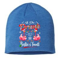 If IM Drunk ItS My BestieS Fault Funny Flamingo Christmas Gift Sustainable Beanie