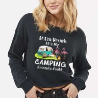 If Im Drunk Its My Camping Friends Fault Funny Flamingos Cropped Pullover Crew