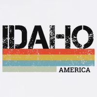 Idaho Adult Drive Performance Visor
