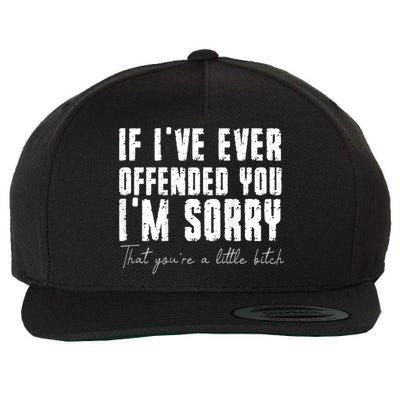 If I've Ever Offended You I'm Sorry That You Are A (On Back) Wool Snapback Cap